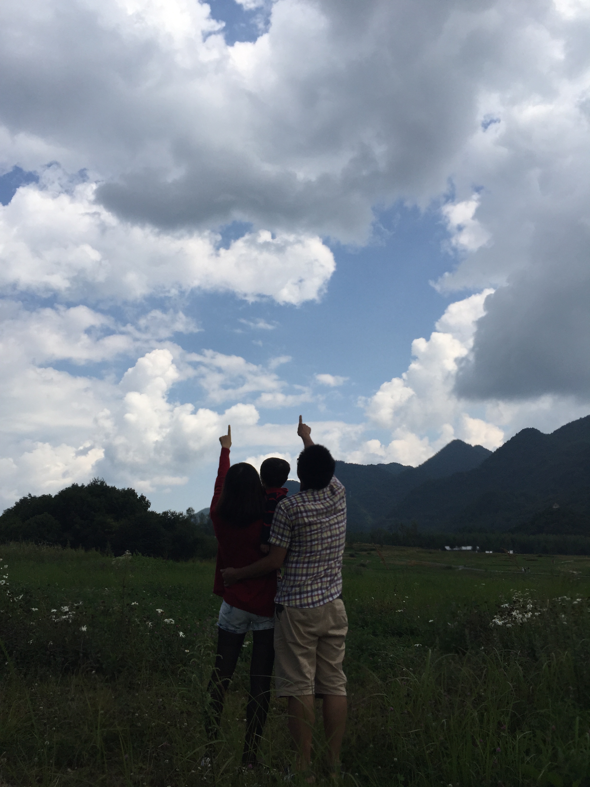 任仙仙