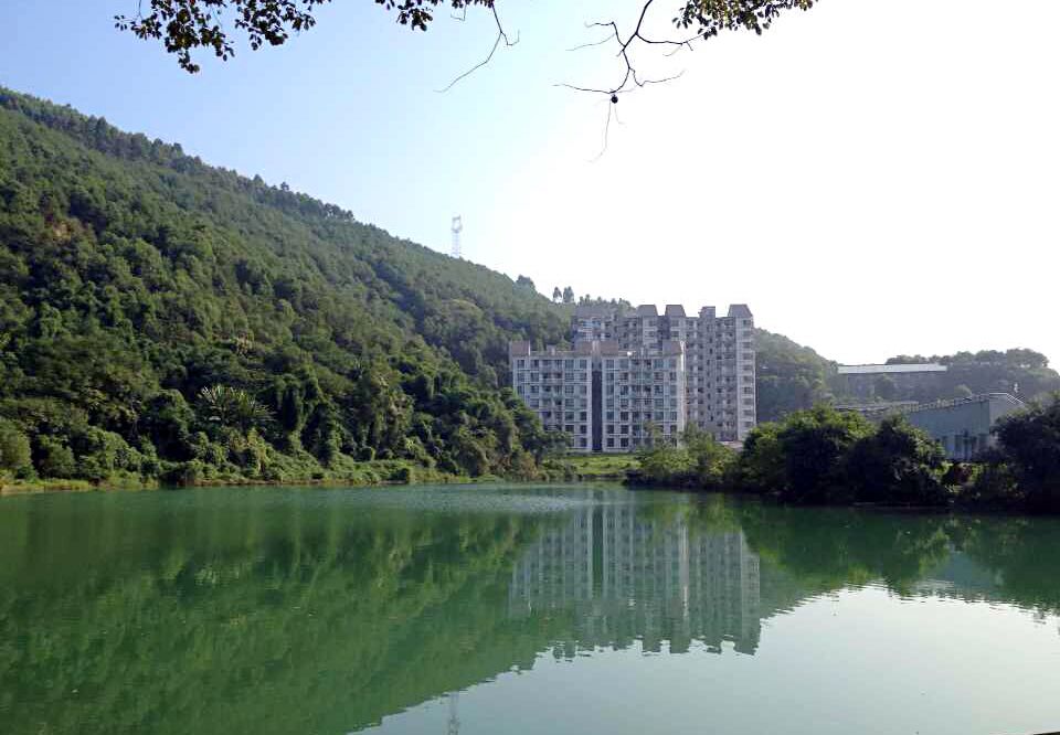 魏德 校园风景-山水城科
