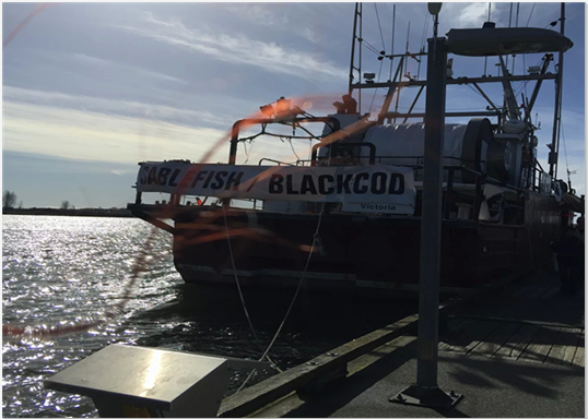 3+qq截图20160311100323