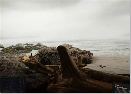 4+qq截图20160311102251