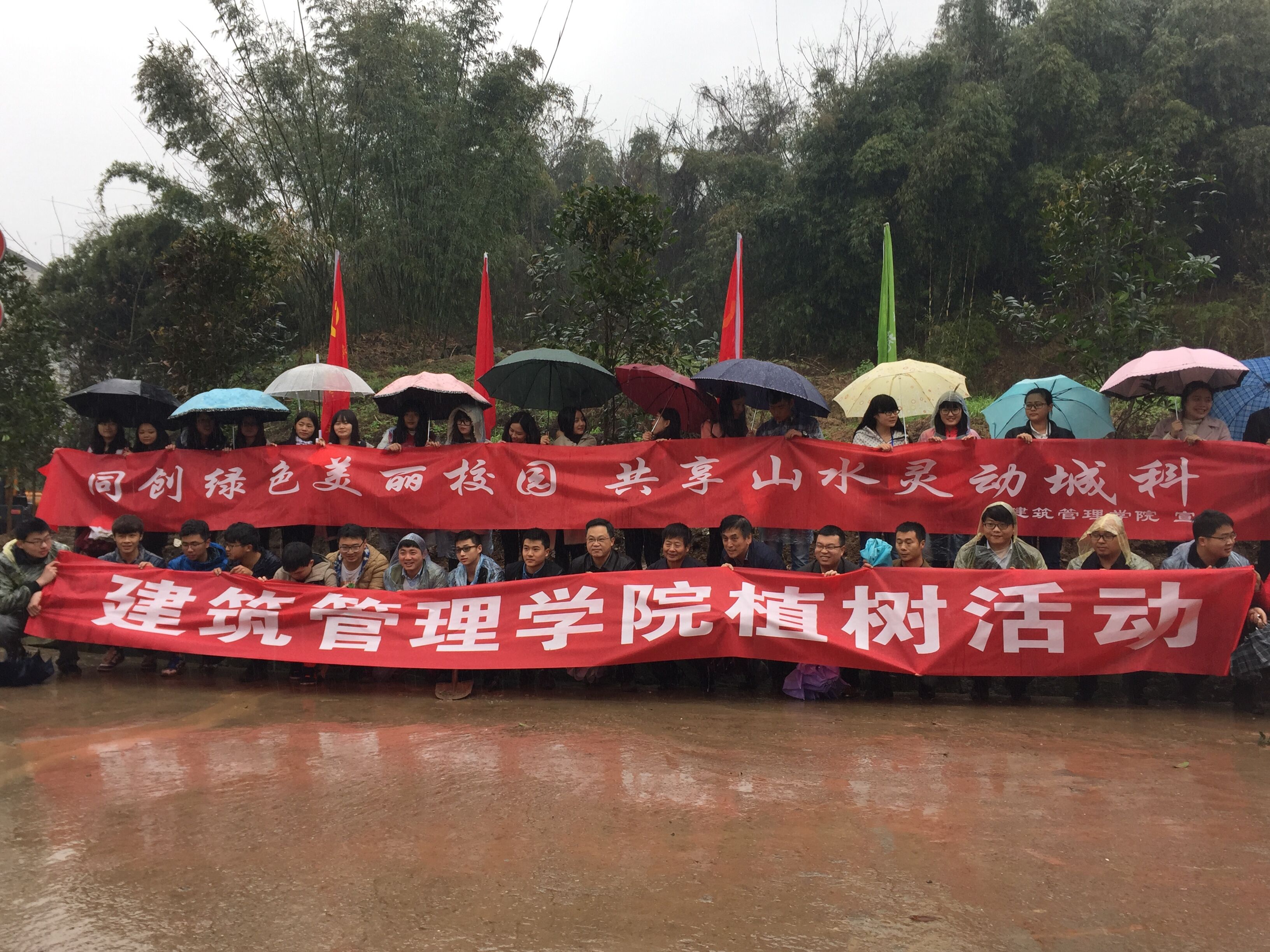 qq图片20160310235858