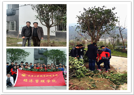 植树节qq截图20160314112239