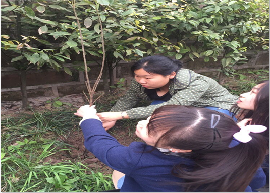 植树+qq截图20160324191013