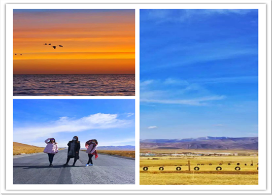 1111+qq截图20160412100018