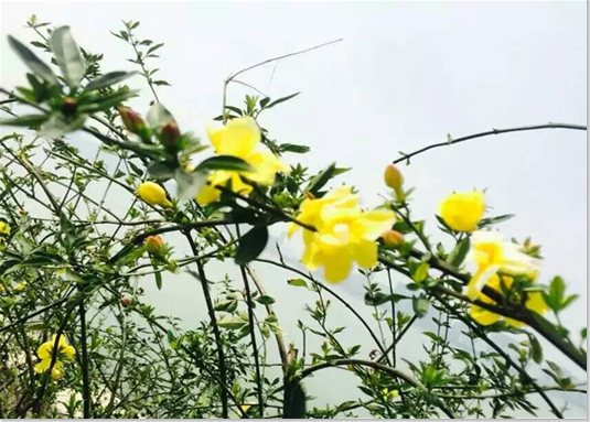 3+qq截图20160421111614