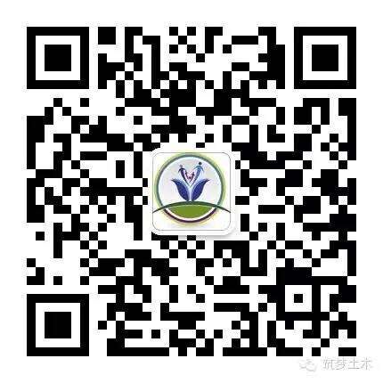 qq图片20170324170533