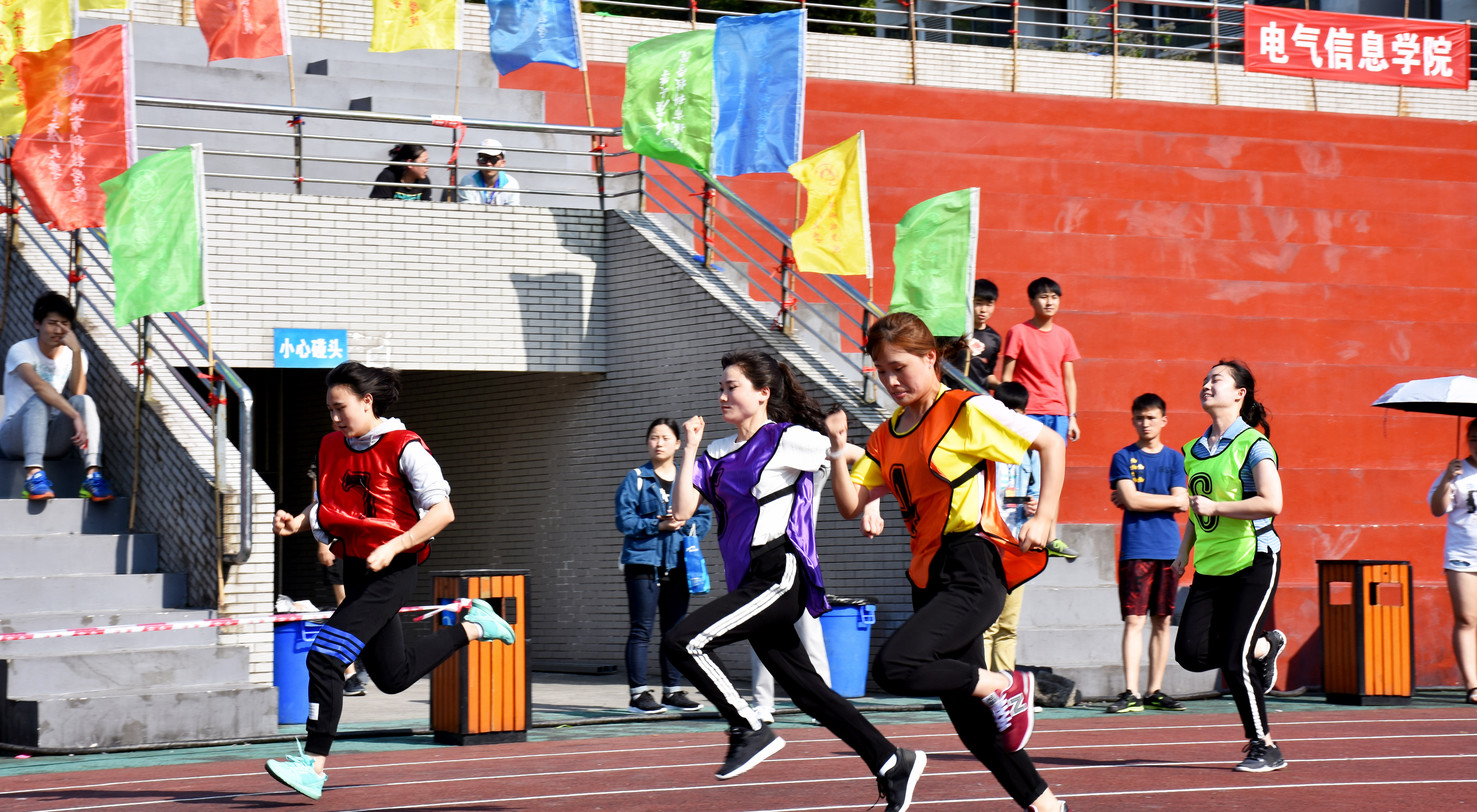 dsc_2284副本