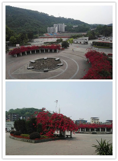 校园