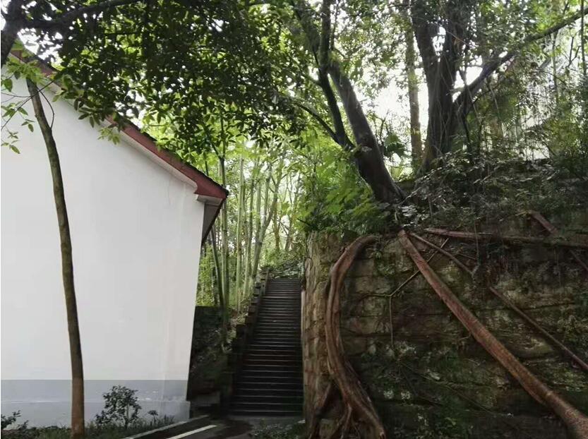 林间小路