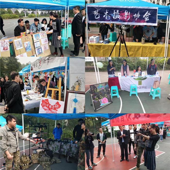 图片7