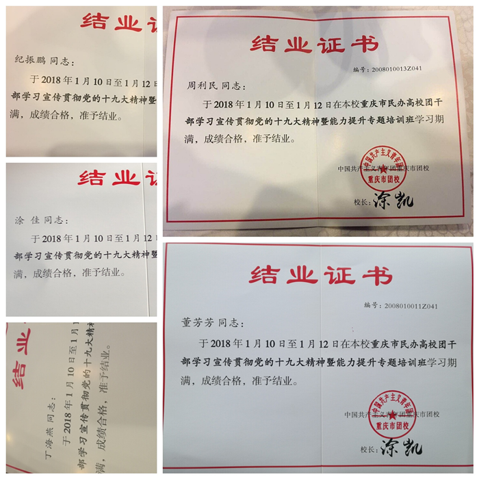 图片10
