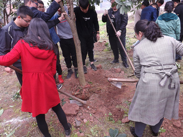 qq图片20180313110627_副本