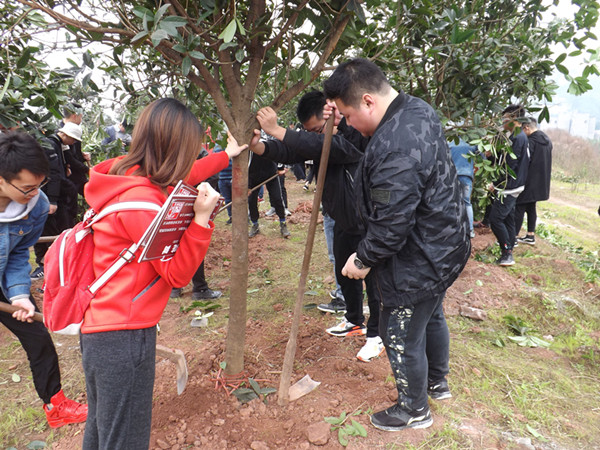 qq图片20180313110103_副本