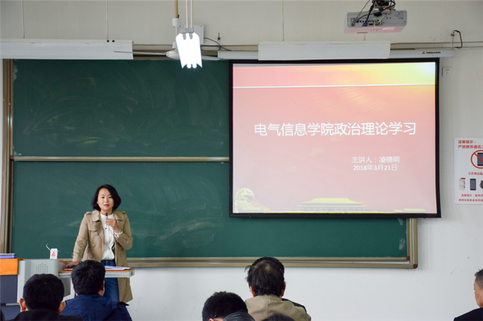 杨丽清书记总结
