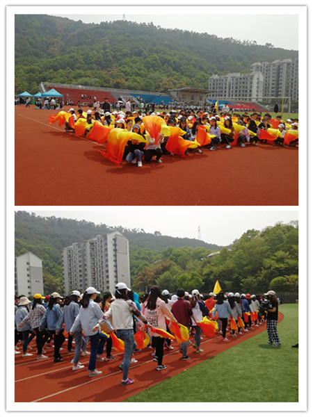 tim图片20180410163715_副本