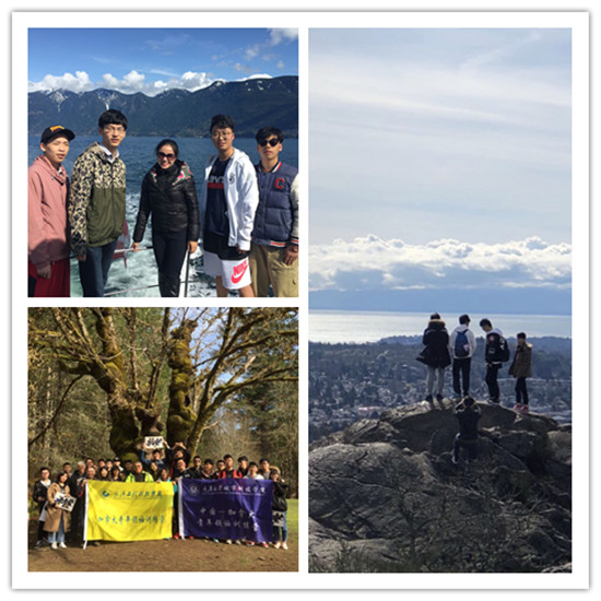 qq图片20180407214047_副本