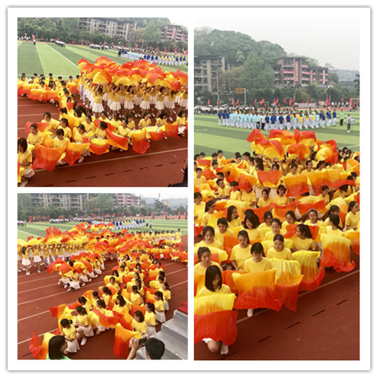 qq图片20180411163723_副本