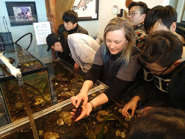 qq图片20180412231944_副本