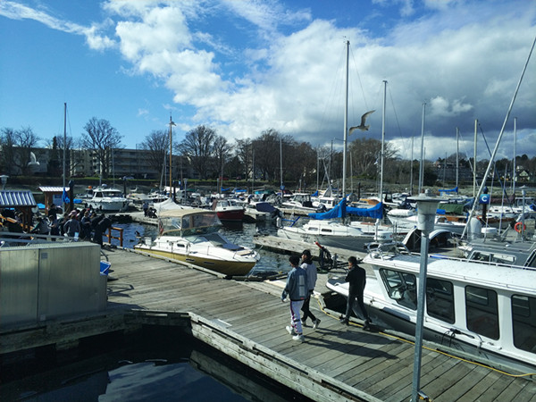 qq图片20180412232109_副本