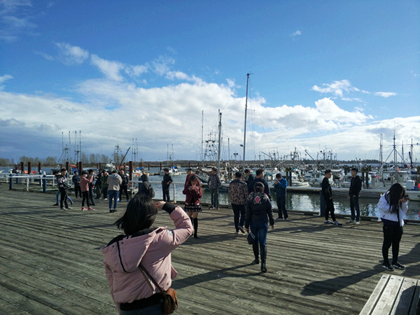 qq图片20180412232148_副本