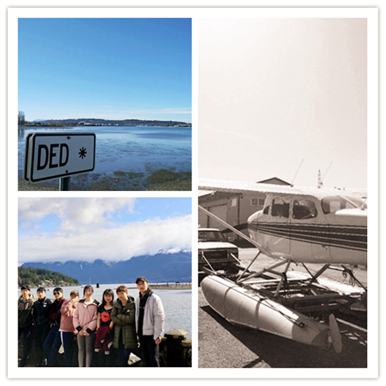 qq图片20180412232158_副本