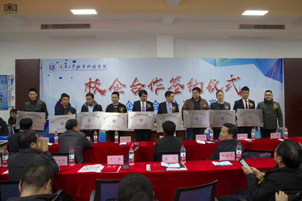 图片四：陈宣君书记授牌匾_副本