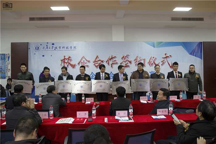 图片四：陈宣君书记授牌匾