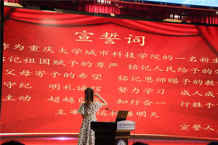 图片8