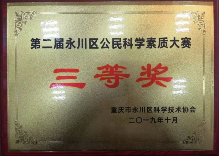 2.webp