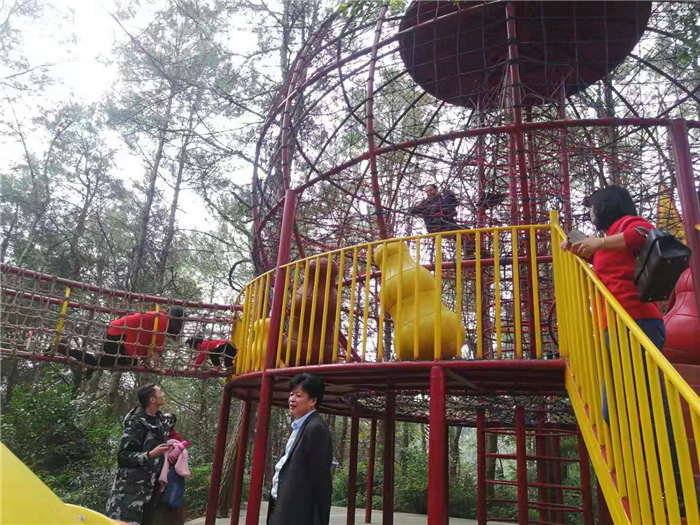 图片3