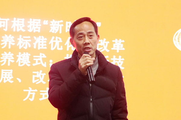 图片8