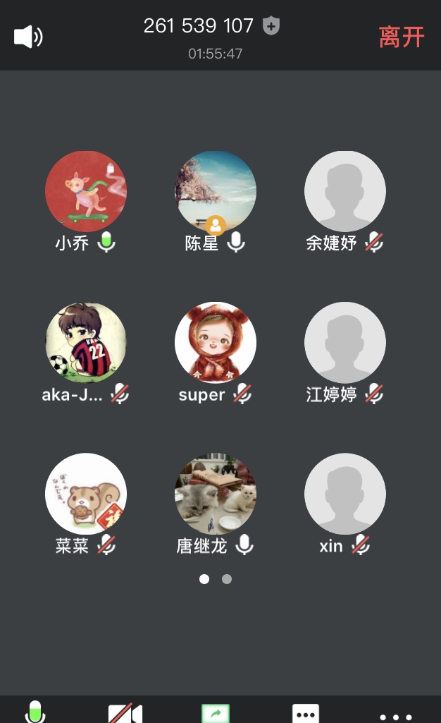 图二（第二党小组会议截图）