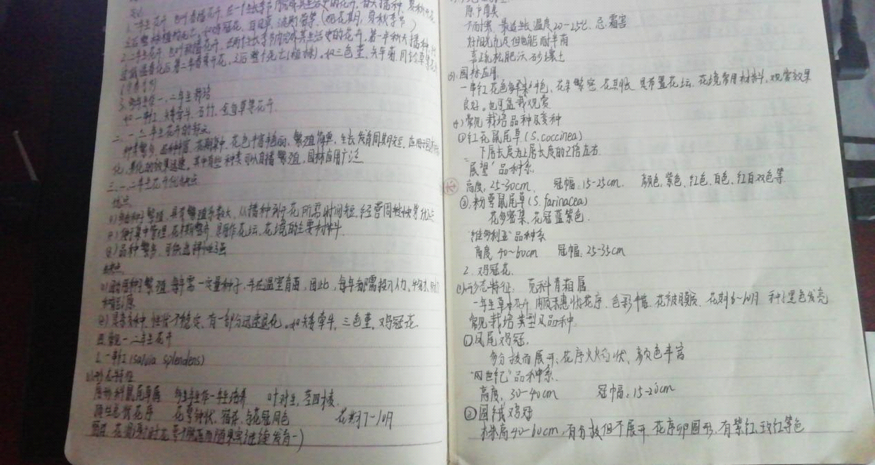 1586746041(1) 1586746041(1)