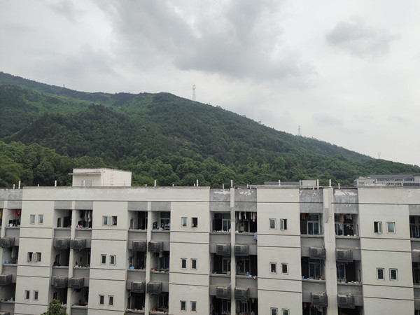 心有宏图---站在阳台眺茶山_副本