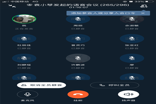 语音会议情况截图1