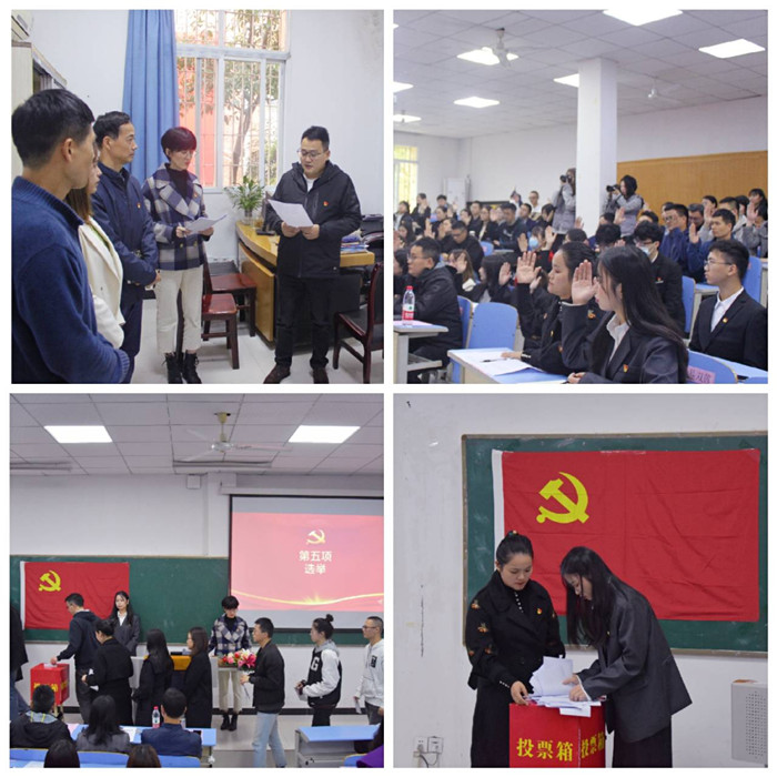 图片5