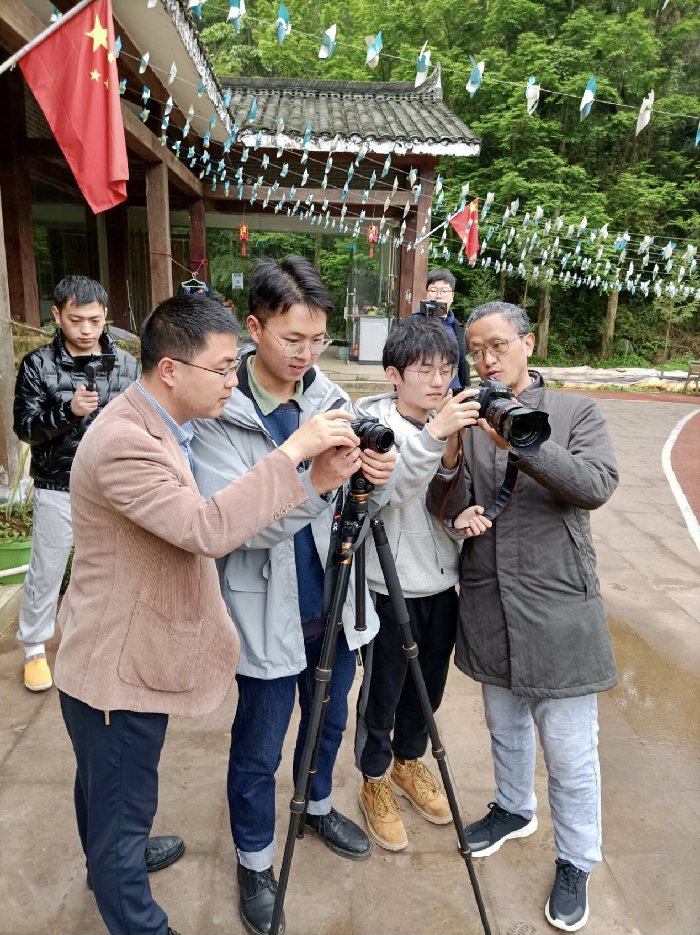 图片7