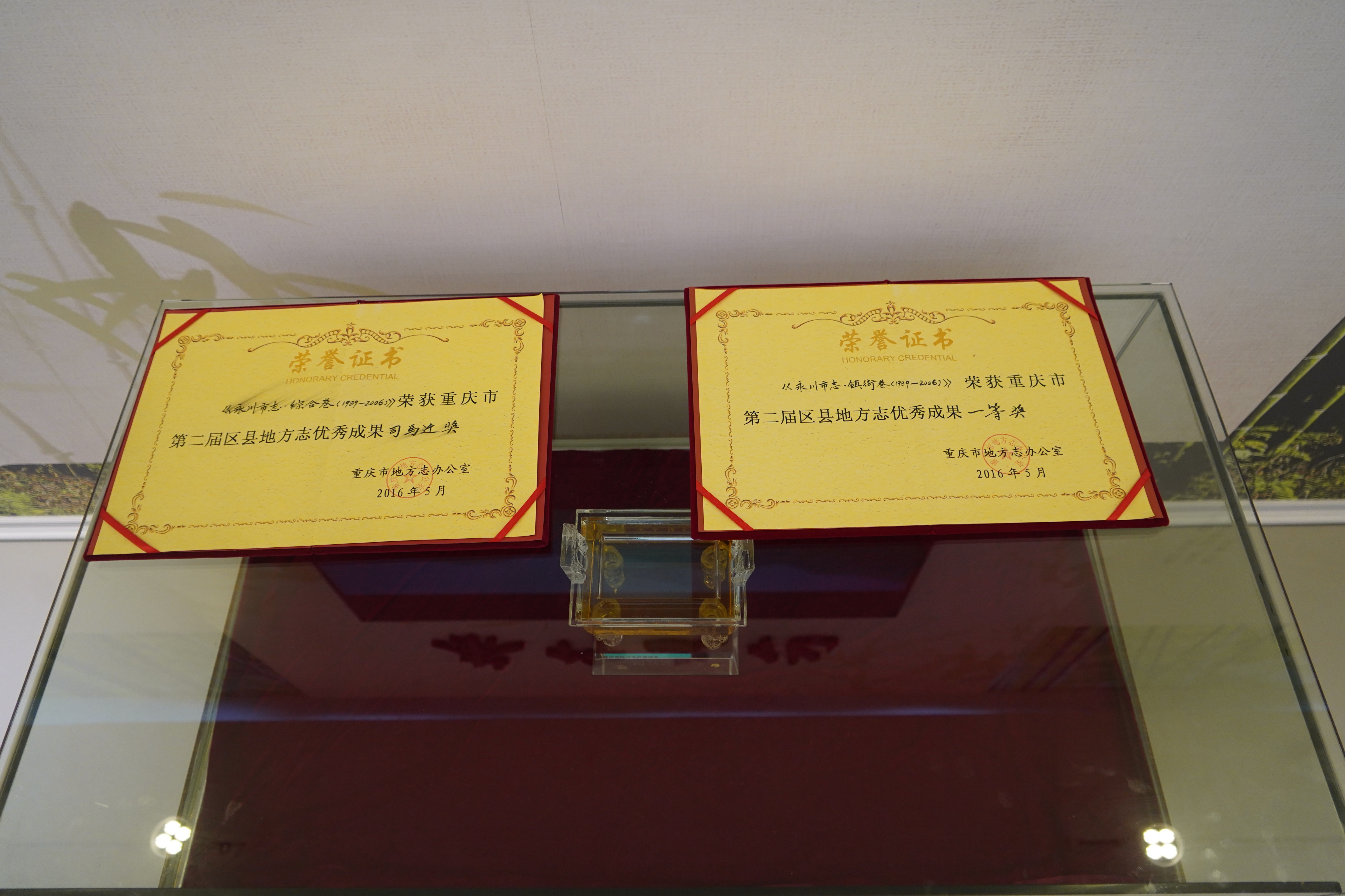 主题党日活动 (43)