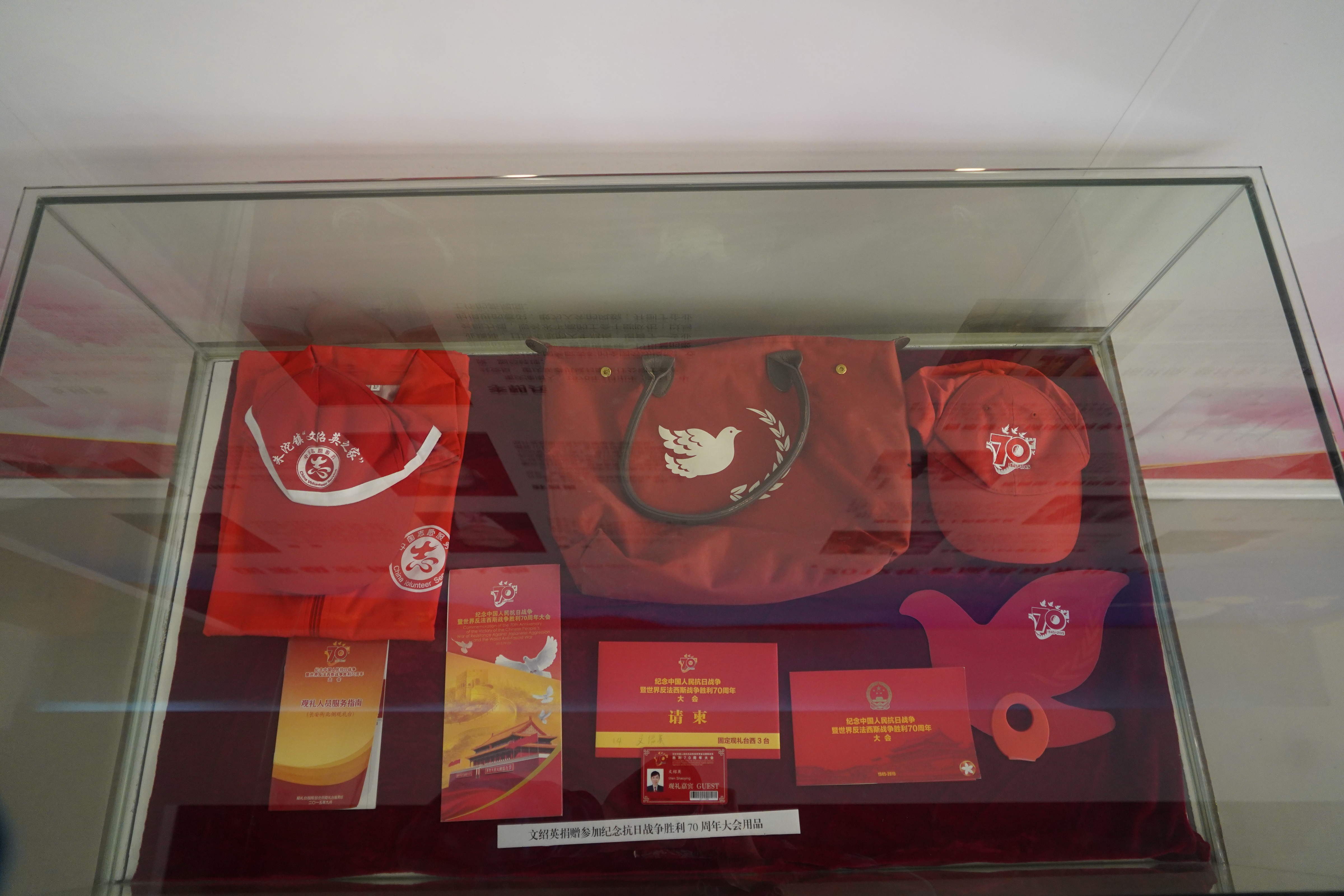 主题党日活动 (41)