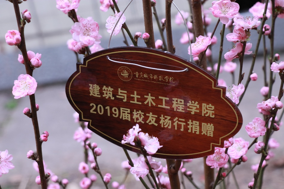 众叶一菩提，护绿筑梦想——建筑土木学院党建工作站开展植树节活动