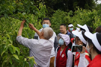 人工智能与大数据学院开展“党建引领助力乡村振兴，支农奉献展示青春力量”主题党日活动