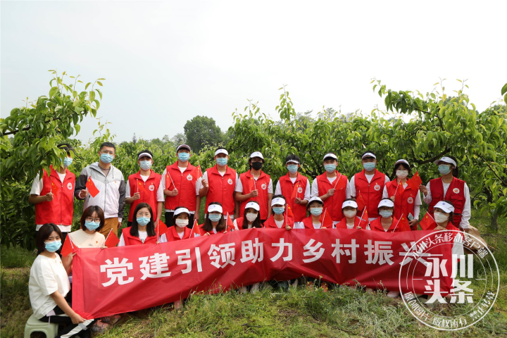 【永川头条】重庆城市科技学院开展“党建引领助力乡村振兴，支农奉献展示青春力量”主题党日活动