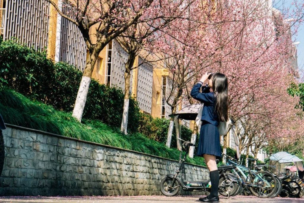 【华龙网】图鉴：重庆27所高校晒春光，哪家是你的最爱？