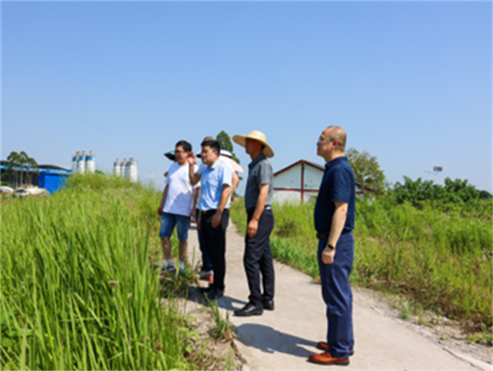 经济管理学院前往松溉镇打鱼河村实地调研