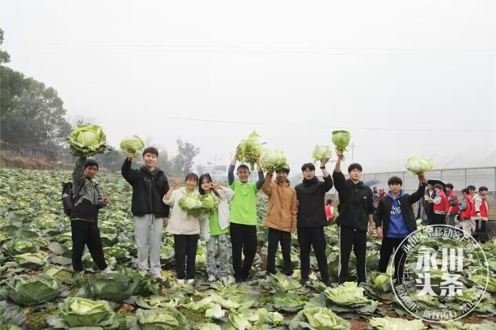 【永川头条】 永川：重庆城市科技学院学生走进“田间课堂”