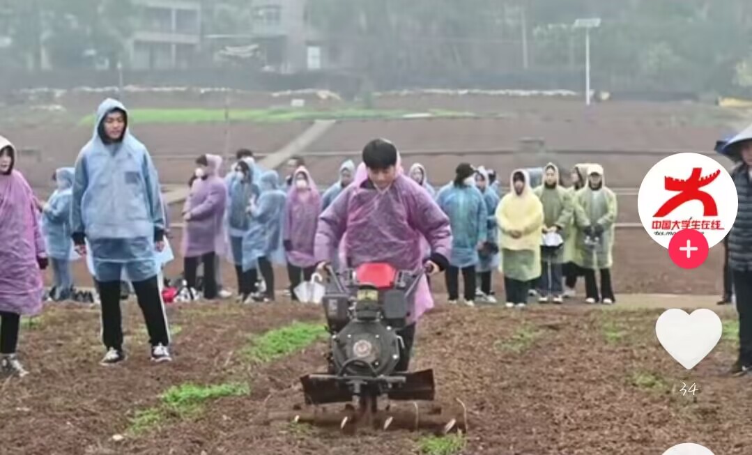 【中国大学生在线】不负春光，跟城科学子一起走进田间课堂