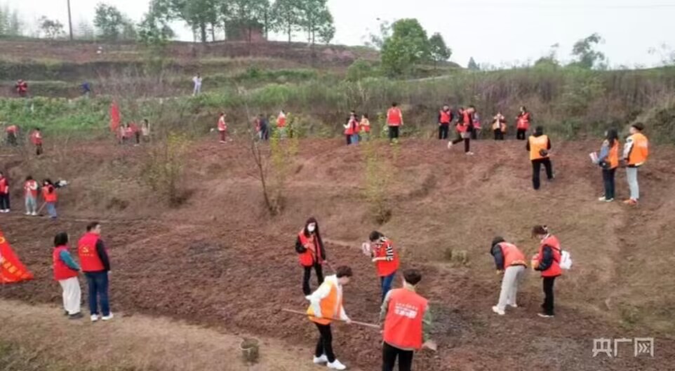 【央广网】助力乡村振兴：重庆城科开展青春助农劳动教育实践活动