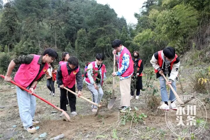 【永川融媒体中心】 重庆永川：城科学子义务植树美化家园