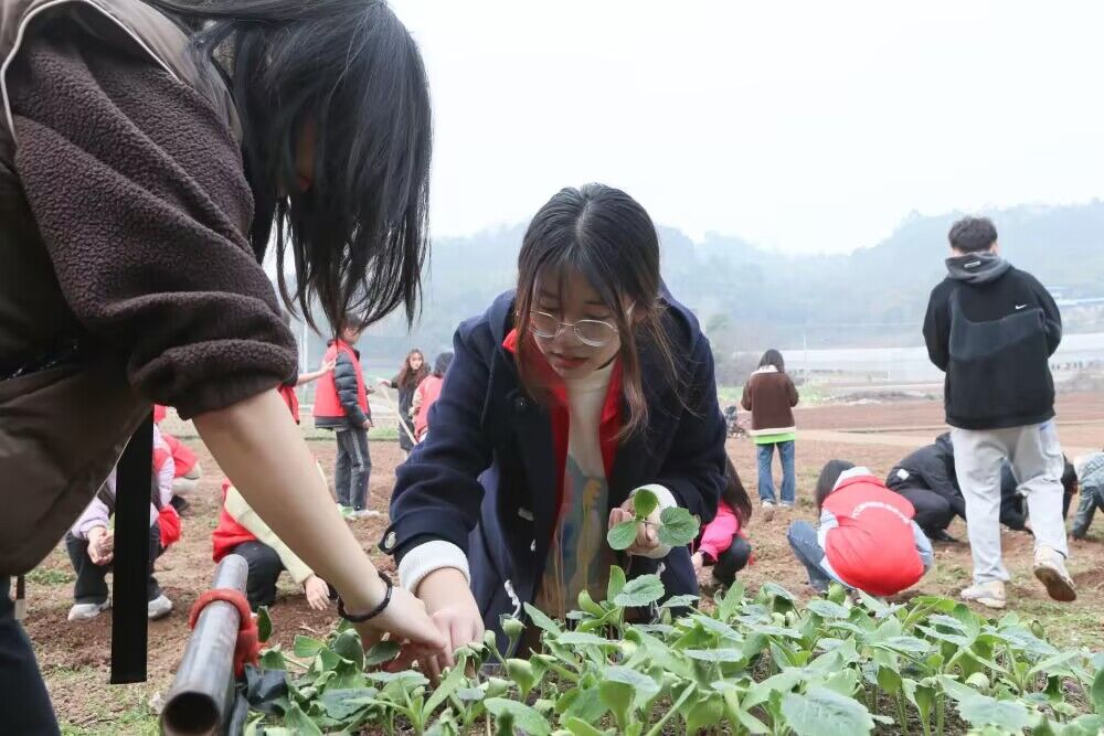 【新华社】重庆永川：2023年春游赏花季启动 旅游产业促乡村振兴焕发新活力。城科学子在重庆市永川区十里荷香研学基地参加劳动教育实践活动