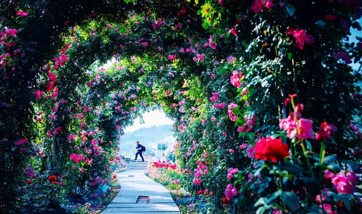 【中国旅游新闻网】2023年永川区春游赏花季暨十里荷香研学旅行活动启动